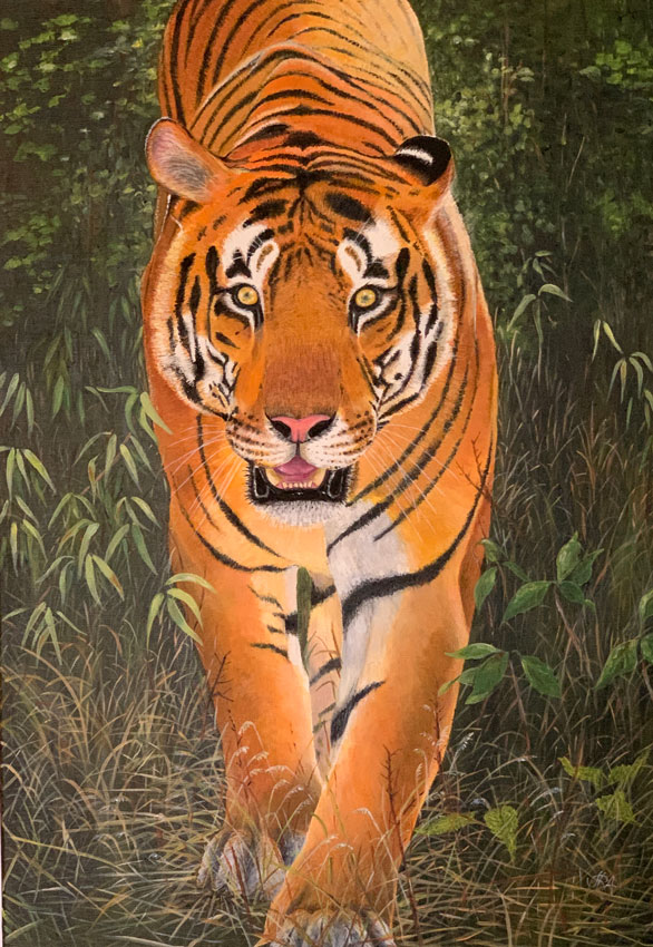 Tiger